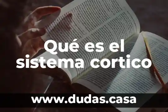 Qué es el sistema cortico