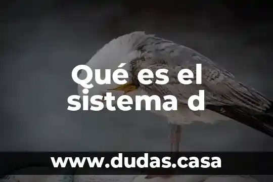 Qué es el sistema d