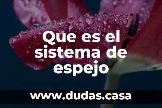 Que es el sistema de espejo