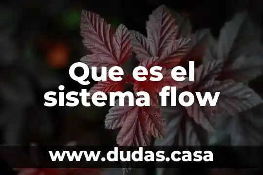 Que es el sistema flow