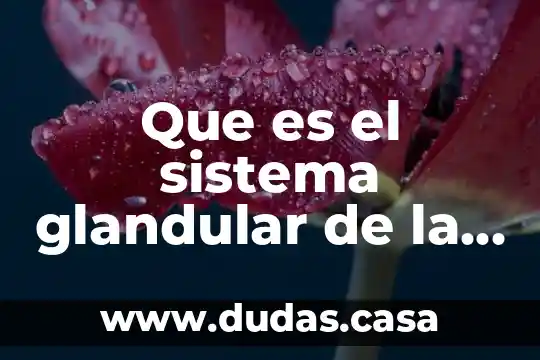 Que es el sistema glandular de la mujer