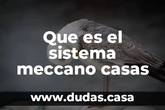 Que es el sistema meccano casas