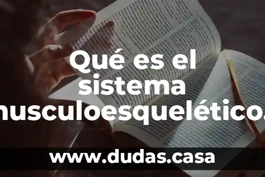 Qué es el sistema musculoesquelético humano