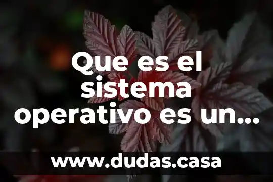 Que es el sistema operativo es un intermediario