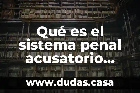 Qué es el sistema penal acusatorio ensayo