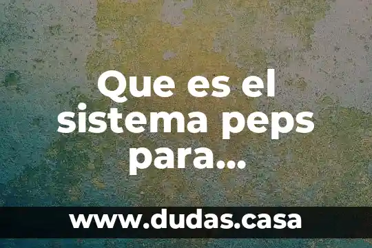 Que es el sistema peps para almacenistas