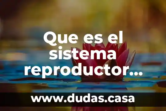 Que es el sistema reproductor dela flor