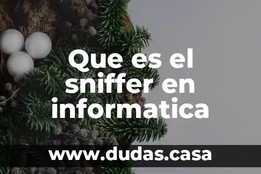 Que es el sniffer en informatica