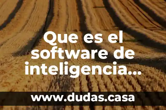 Que es el software de inteligencia artificial