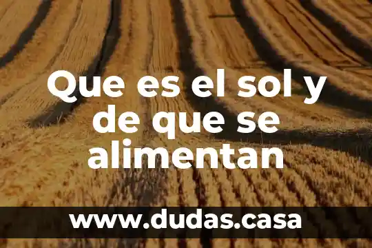 Que es el sol y de que se alimentan