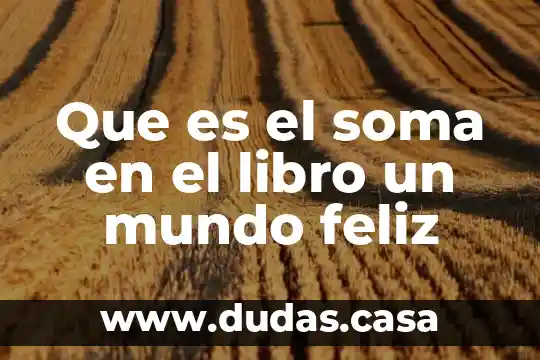 Que es el soma en el libro un mundo feliz