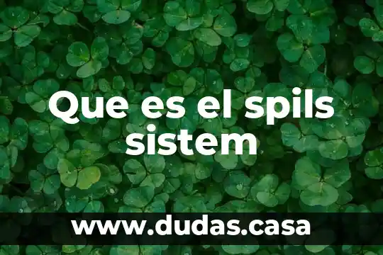 Que es el spils sistem