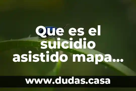 Que es el suicidio asistido mapa conceptualbioetica ante la muerte