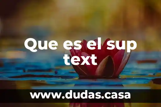 Que es el sup text 23 Que es el sup text