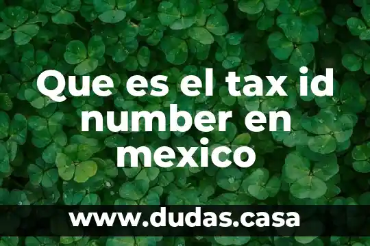 Que es el tax id number en mexico