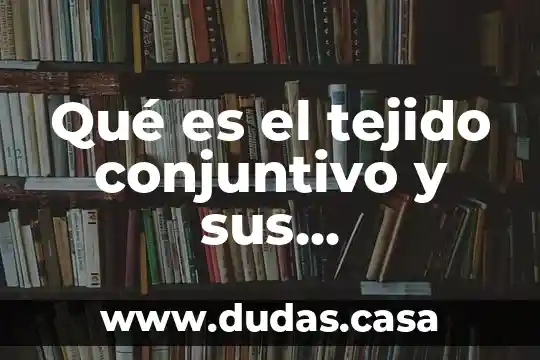 Qué es el tejido conjuntivo y sus características