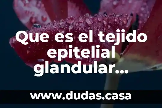 Que es el tejido epitelial glandular animal