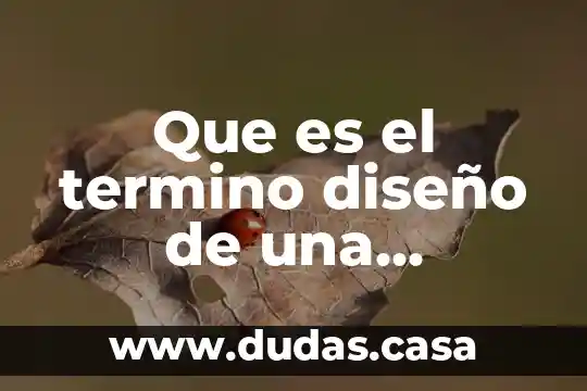 Que es el termino diseño de una diapositiva