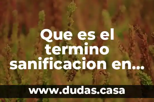 Que es el termino sanificacion en enfermeria