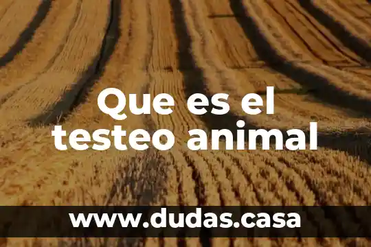 Que es el testeo animal