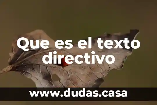 Que es el texto directivo