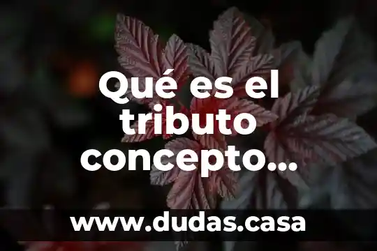 Qué es el tributo concepto jurídico