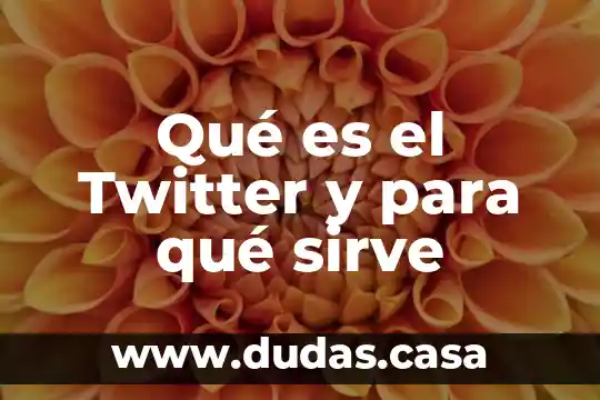 Qué es el Twitter y para qué sirve