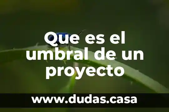 Que es el umbral de un proyecto