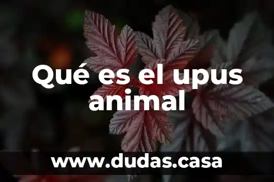 Qué es el upus animal