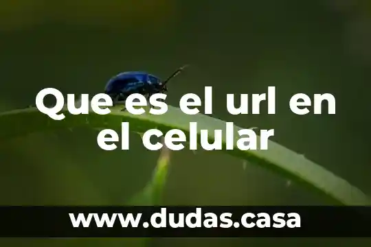Que es el url en el celular