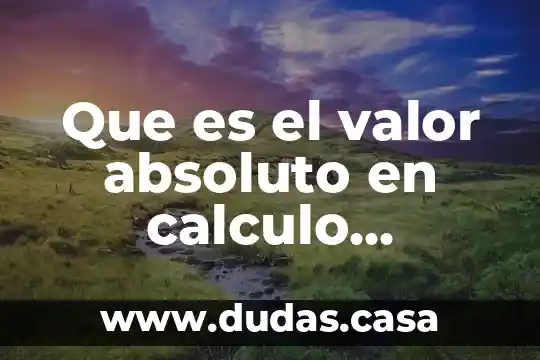 Que es el valor absoluto en calculo diferencial