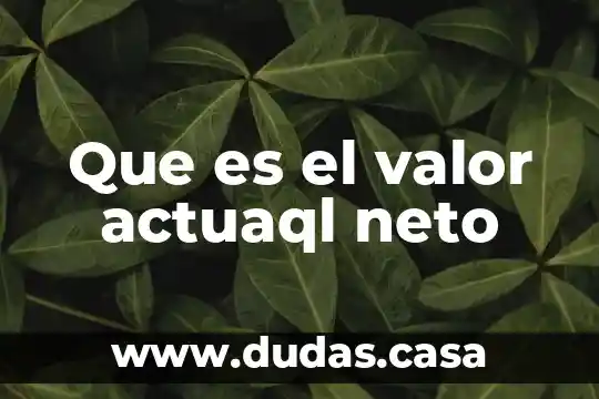 Que es el valor actuaql neto