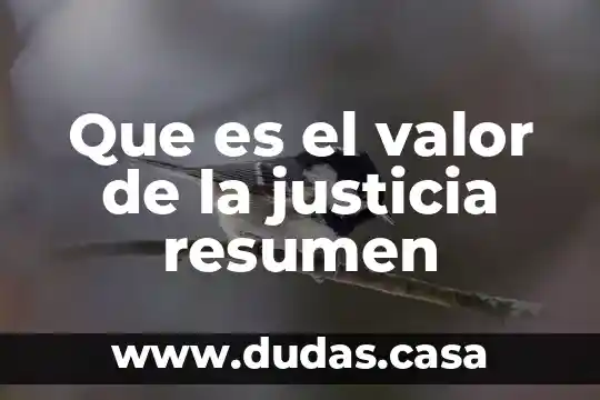 Que es el valor de la justicia resumen