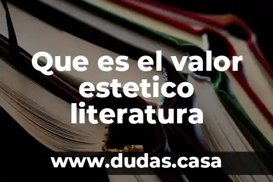 Que es el valor estetico literatura