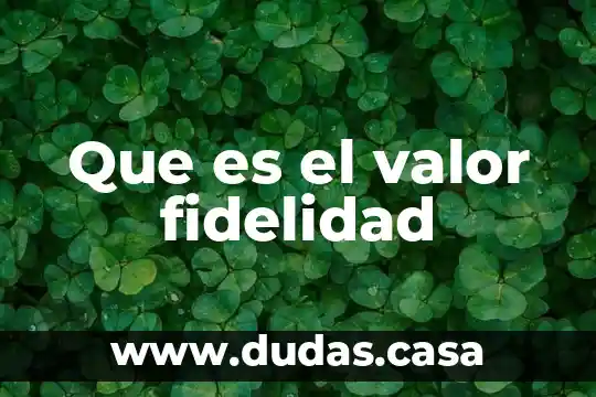 Que es el valor fidelidad