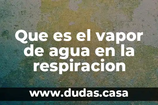 Que es el vapor de agua en la respiracion