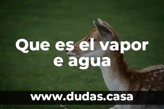 Que es el vapor e agua