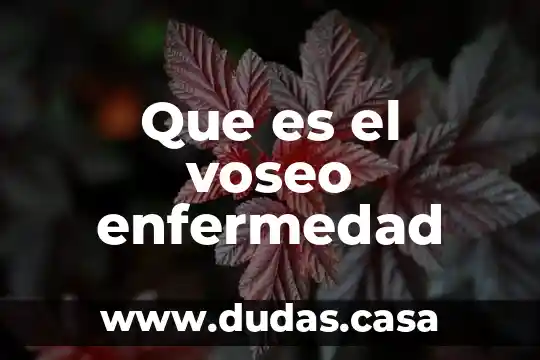 Que es el voseo enfermedad