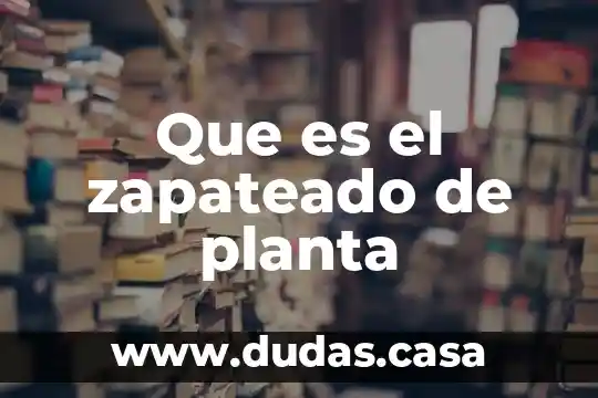 Que es el zapateado de planta