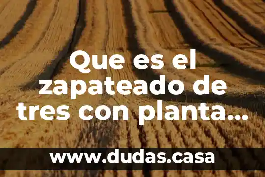 Que es el zapateado de tres con planta ytalon