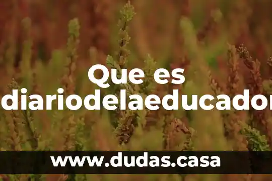Que es eldiariodelaeducadora