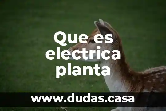 Que es electrica planta