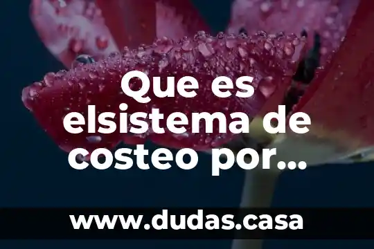 Que es elsistema de costeo por procesos