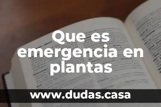 Que es emergencia en plantas