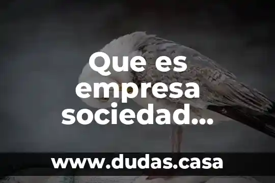 Que es empresa sociedad anonima