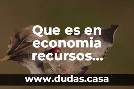 Que es en economia recursos limitados