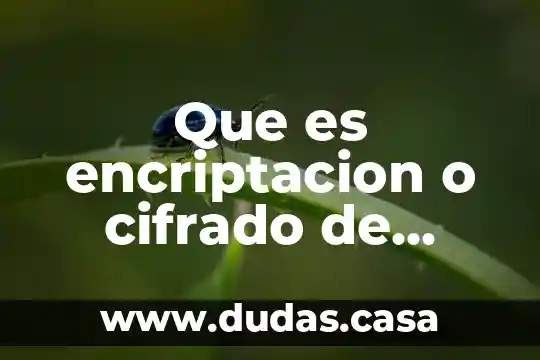 Que es encriptacion o cifrado de datos 16 Que es encriptacion o cifrado de datos