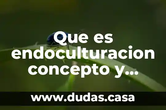 Que es endoculturacion concepto y caracteristicas