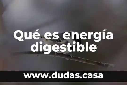 Qué es energía digestible