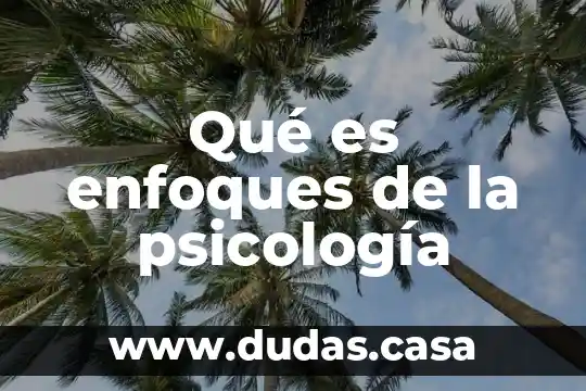 Qué es enfoques de la psicología